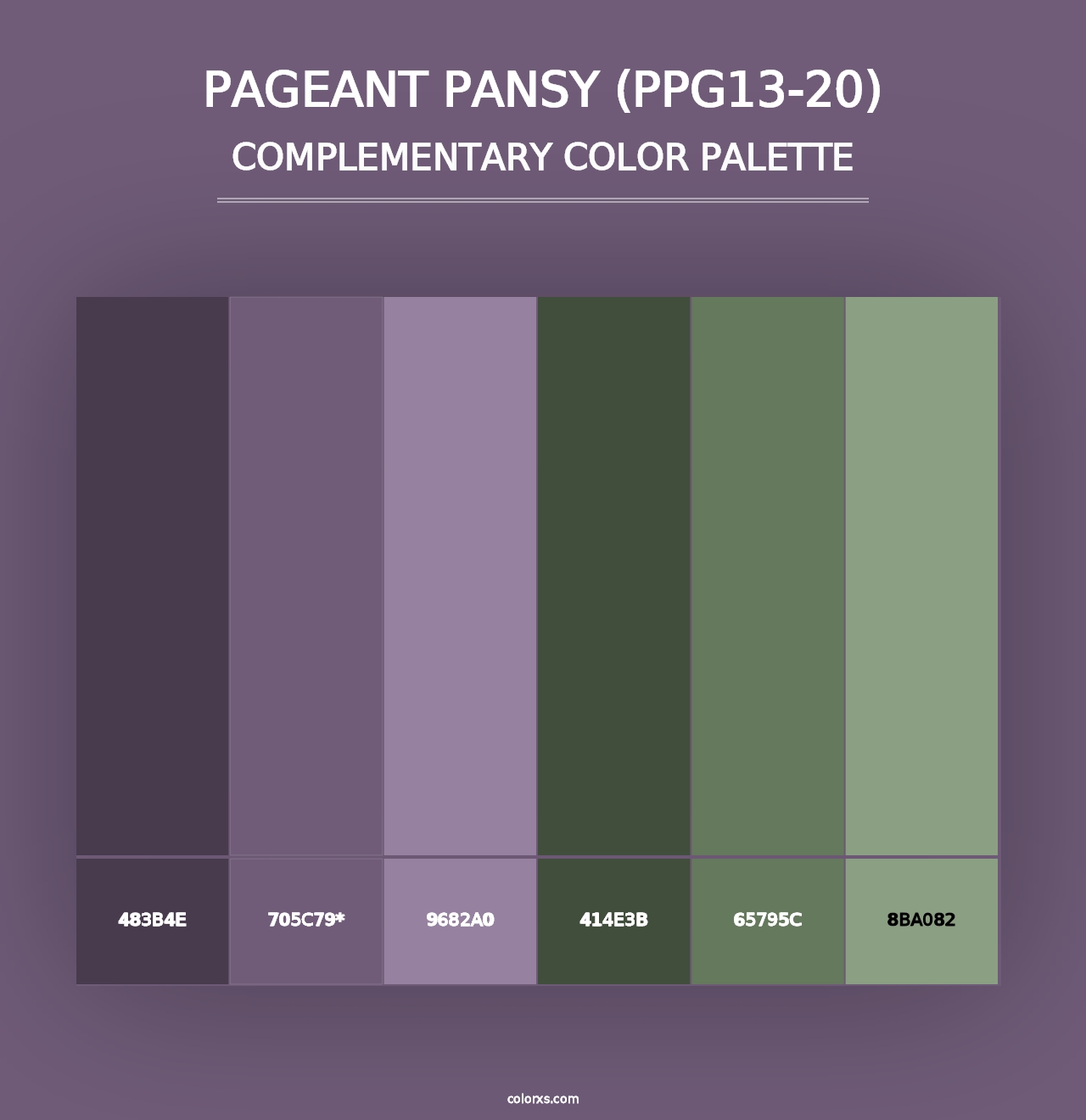 Pageant Pansy (PPG13-20) - Complementary Color Palette