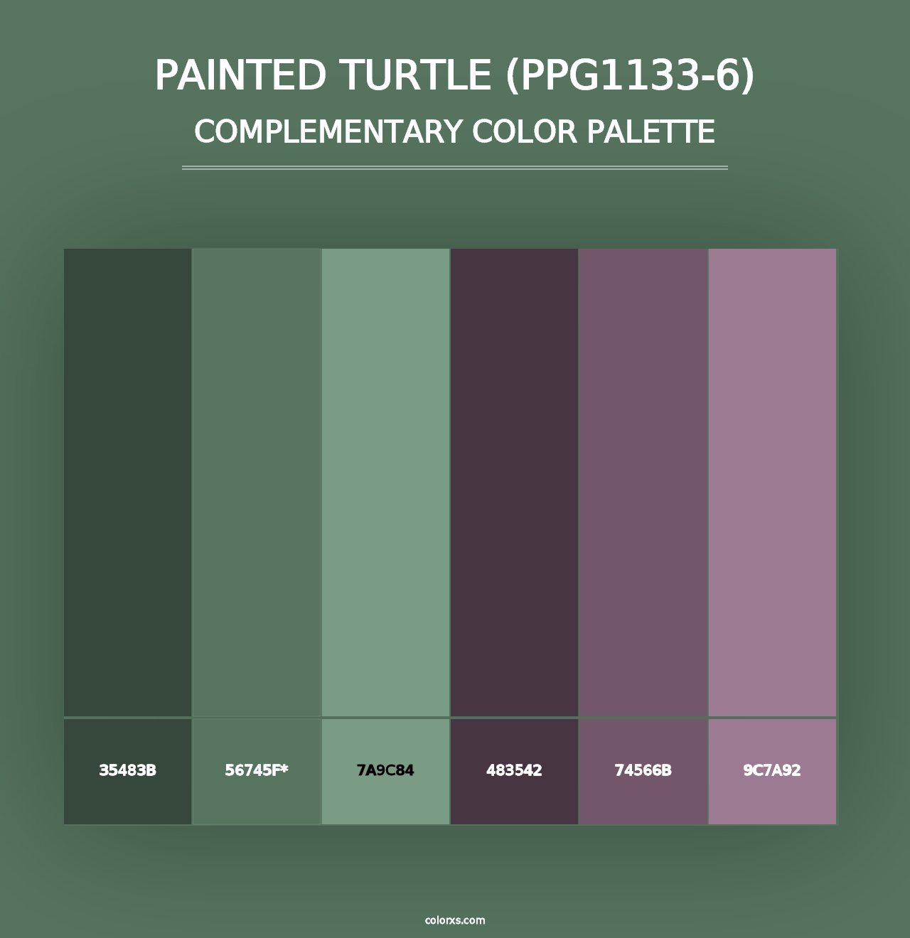 Painted Turtle (PPG1133-6) - Complementary Color Palette