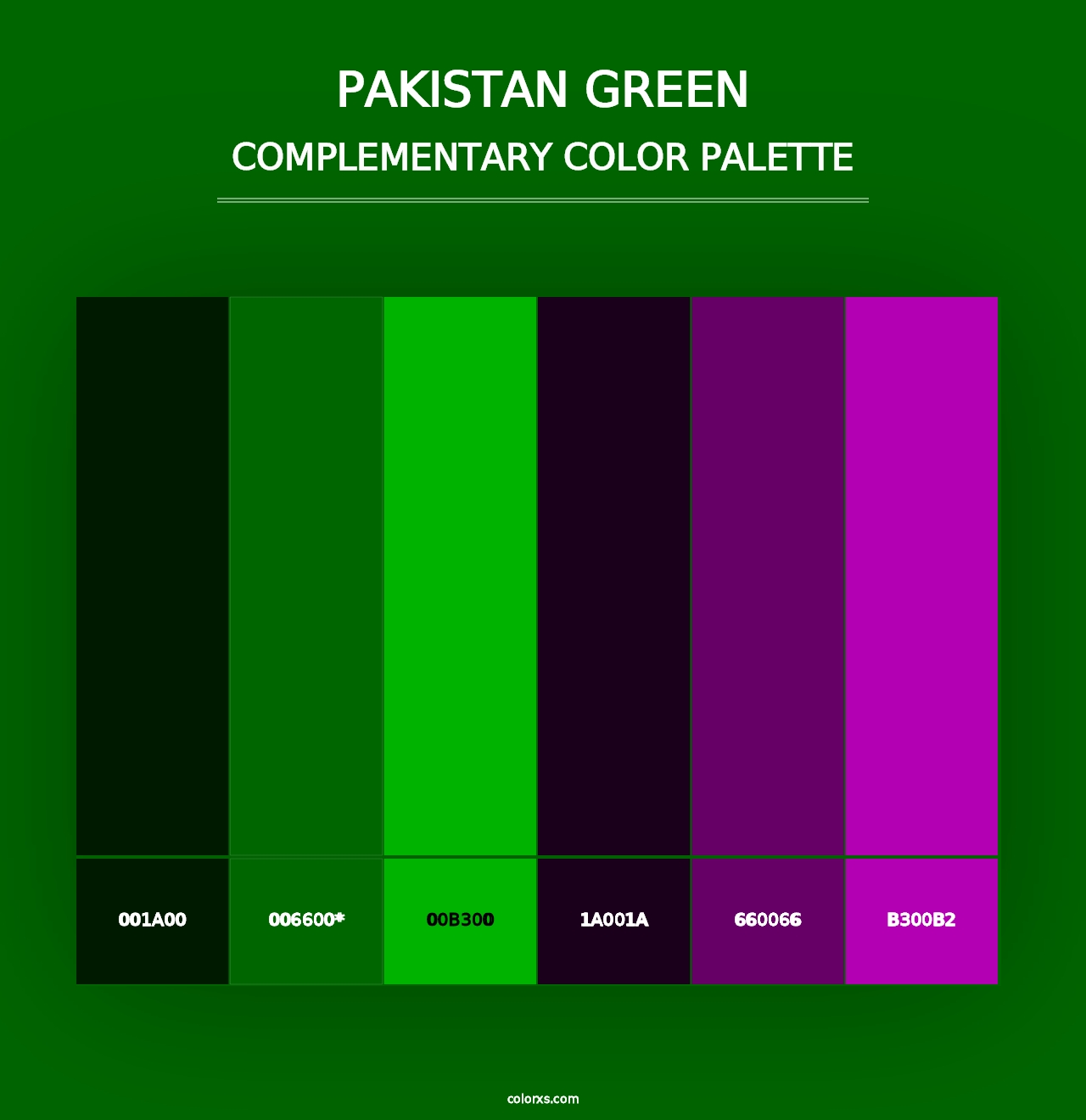 Pakistan Green - Complementary Color Palette