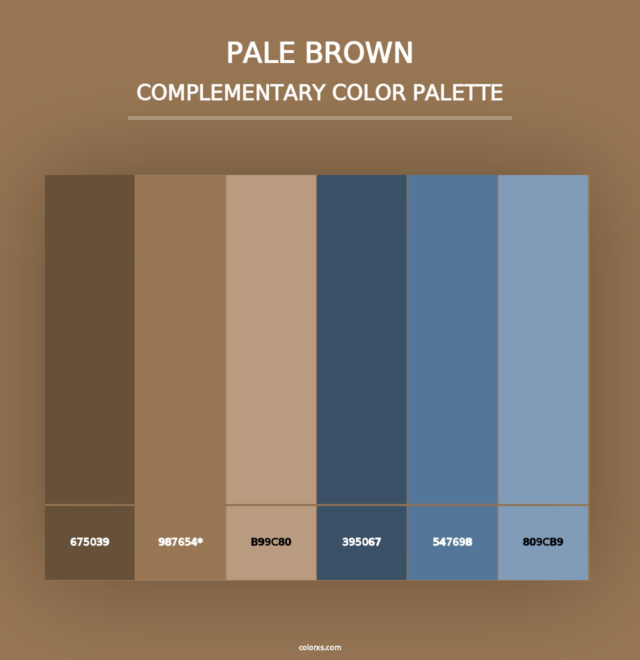 Pale Brown - Complementary Color Palette