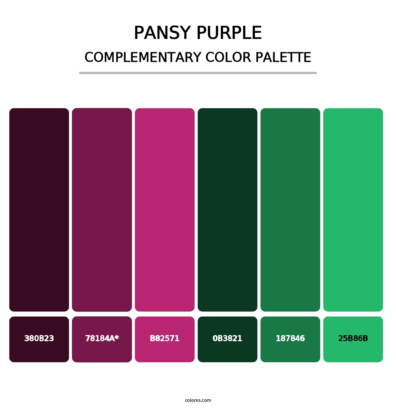 Pansy Purple - Complementary Color Palette