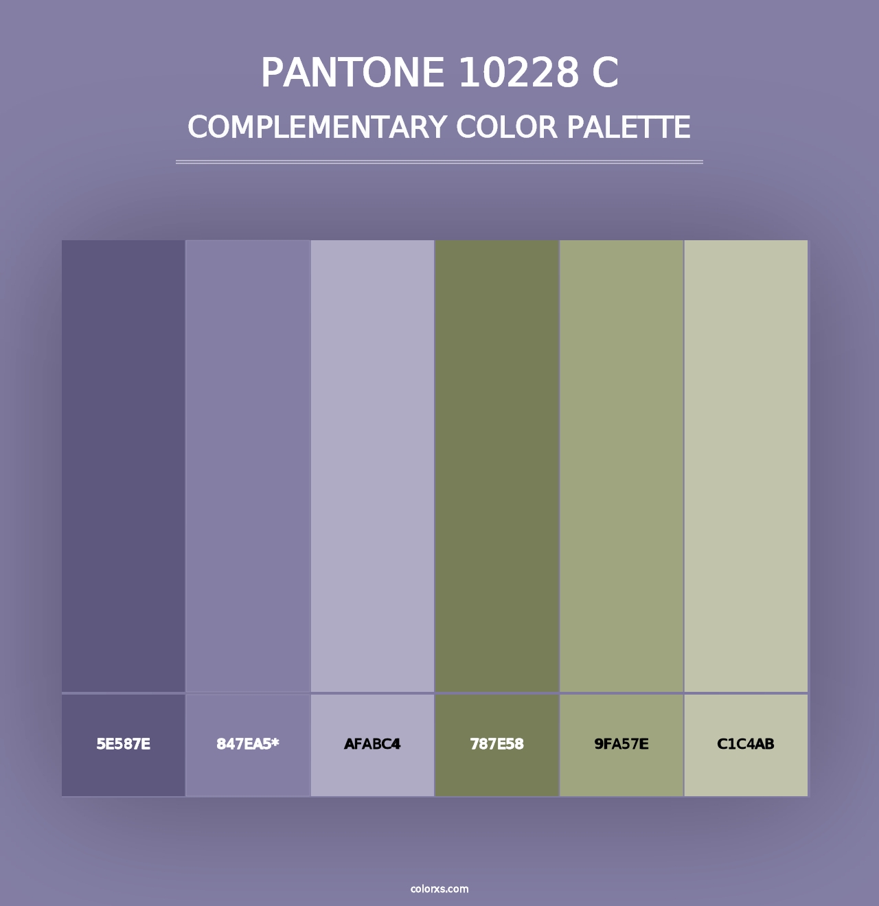 PANTONE 10228 C - Complementary Color Palette