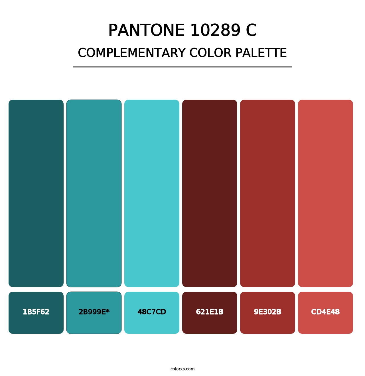 PANTONE 10289 C - Complementary Color Palette