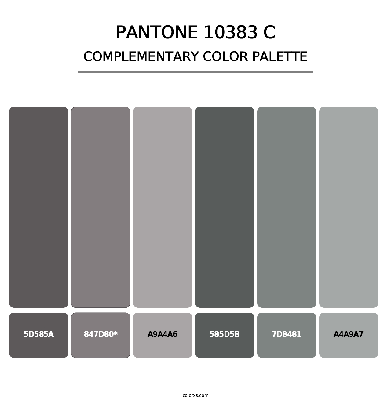 PANTONE 10383 C - Complementary Color Palette