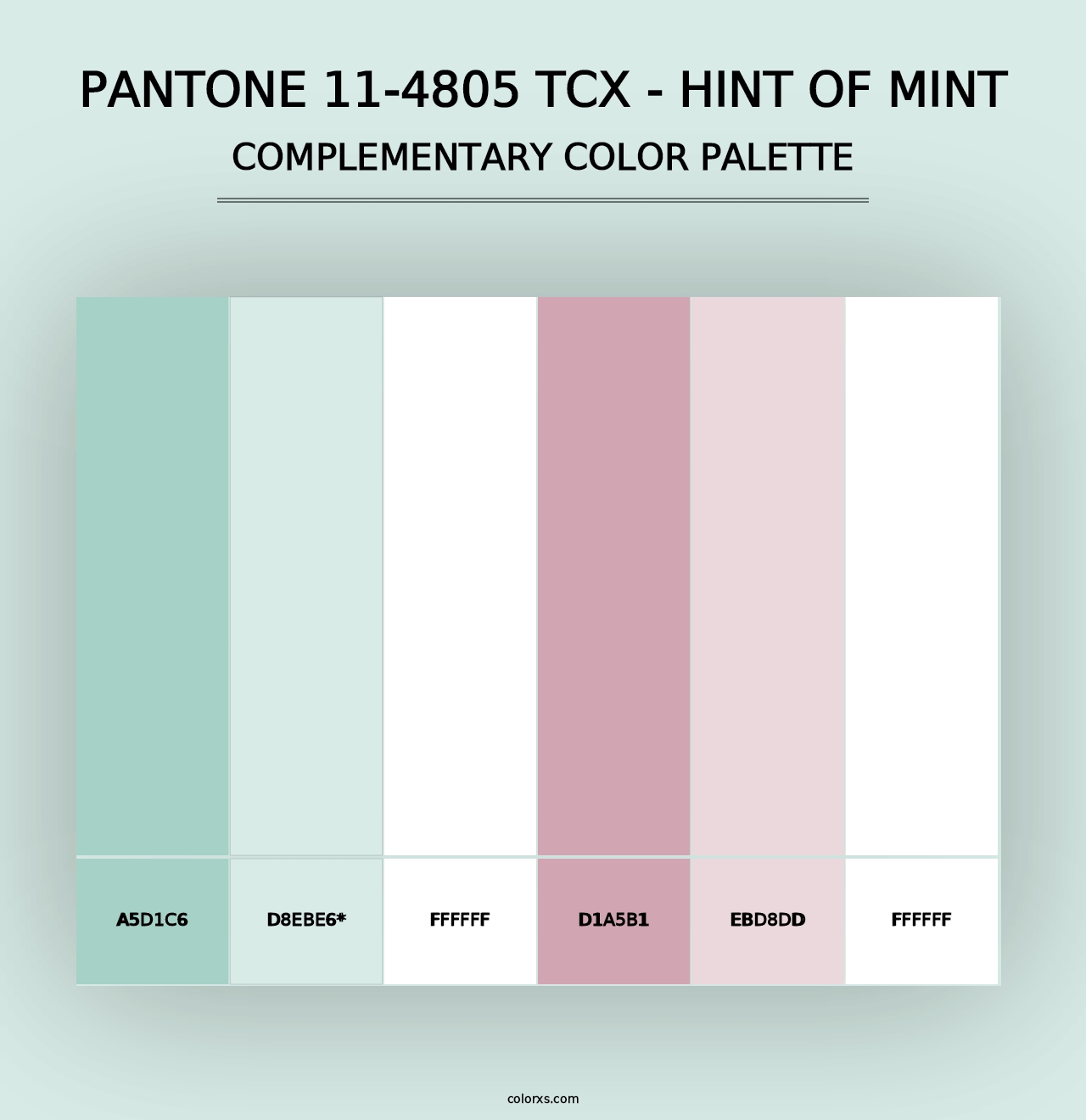 PANTONE 11-4805 TCX - Hint of Mint - Complementary Color Palette