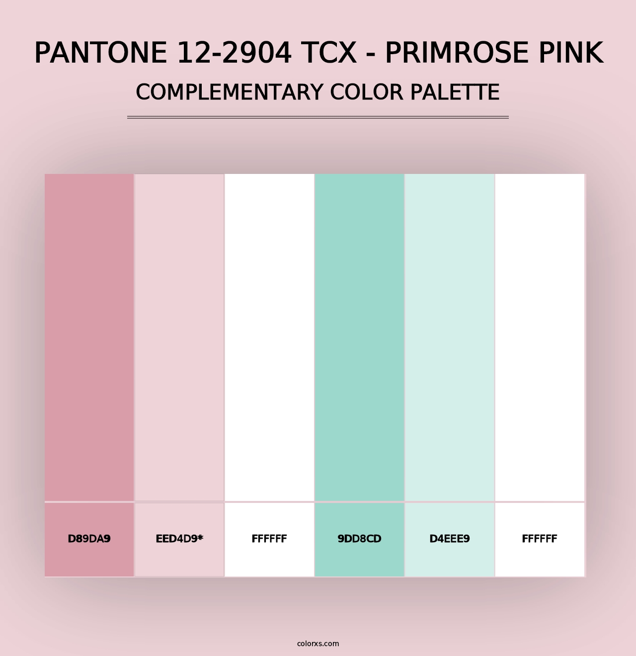 PANTONE 12-2904 TCX - Primrose Pink - Complementary Color Palette