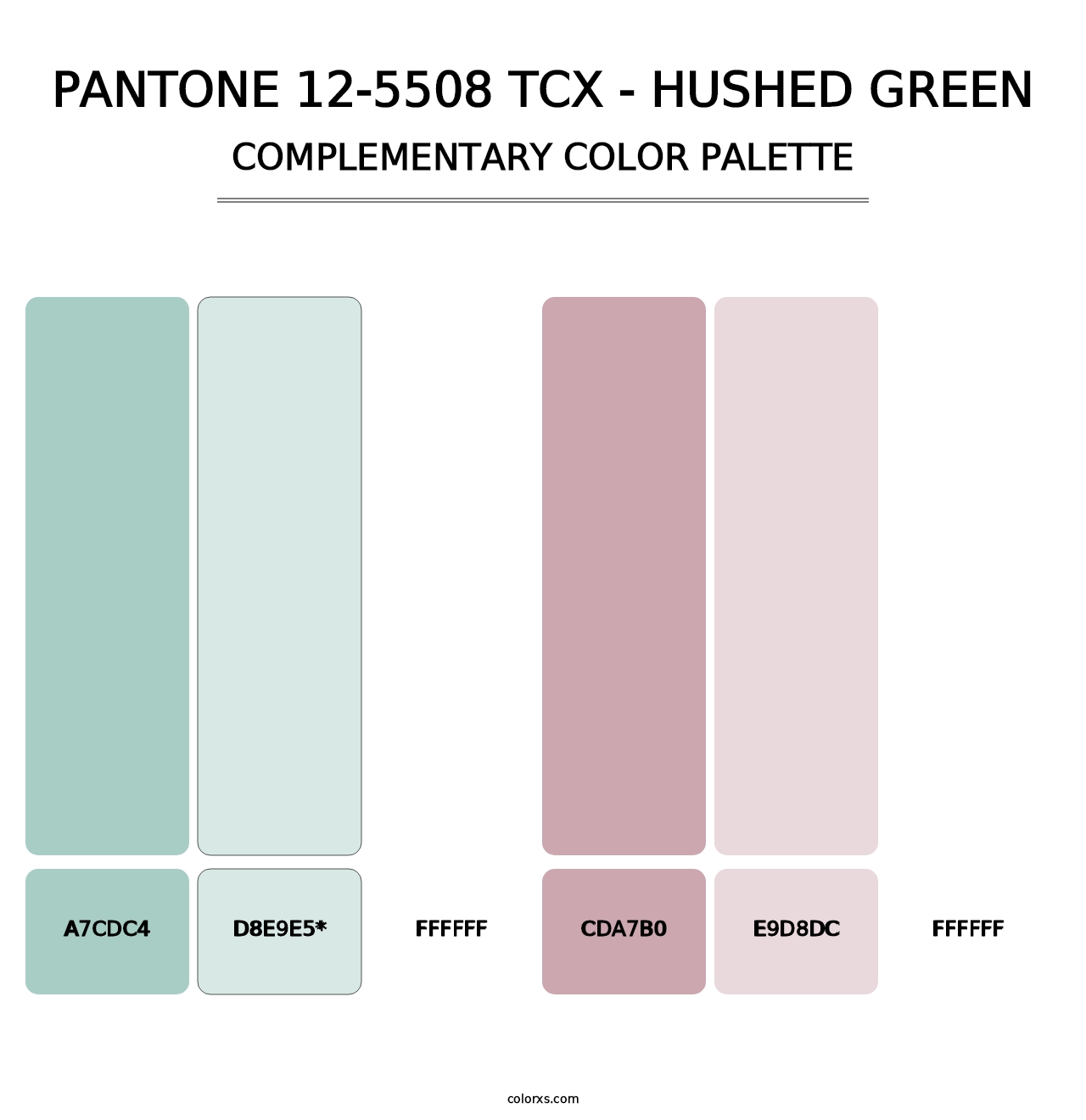 PANTONE 12-5508 TCX - Hushed Green - Complementary Color Palette