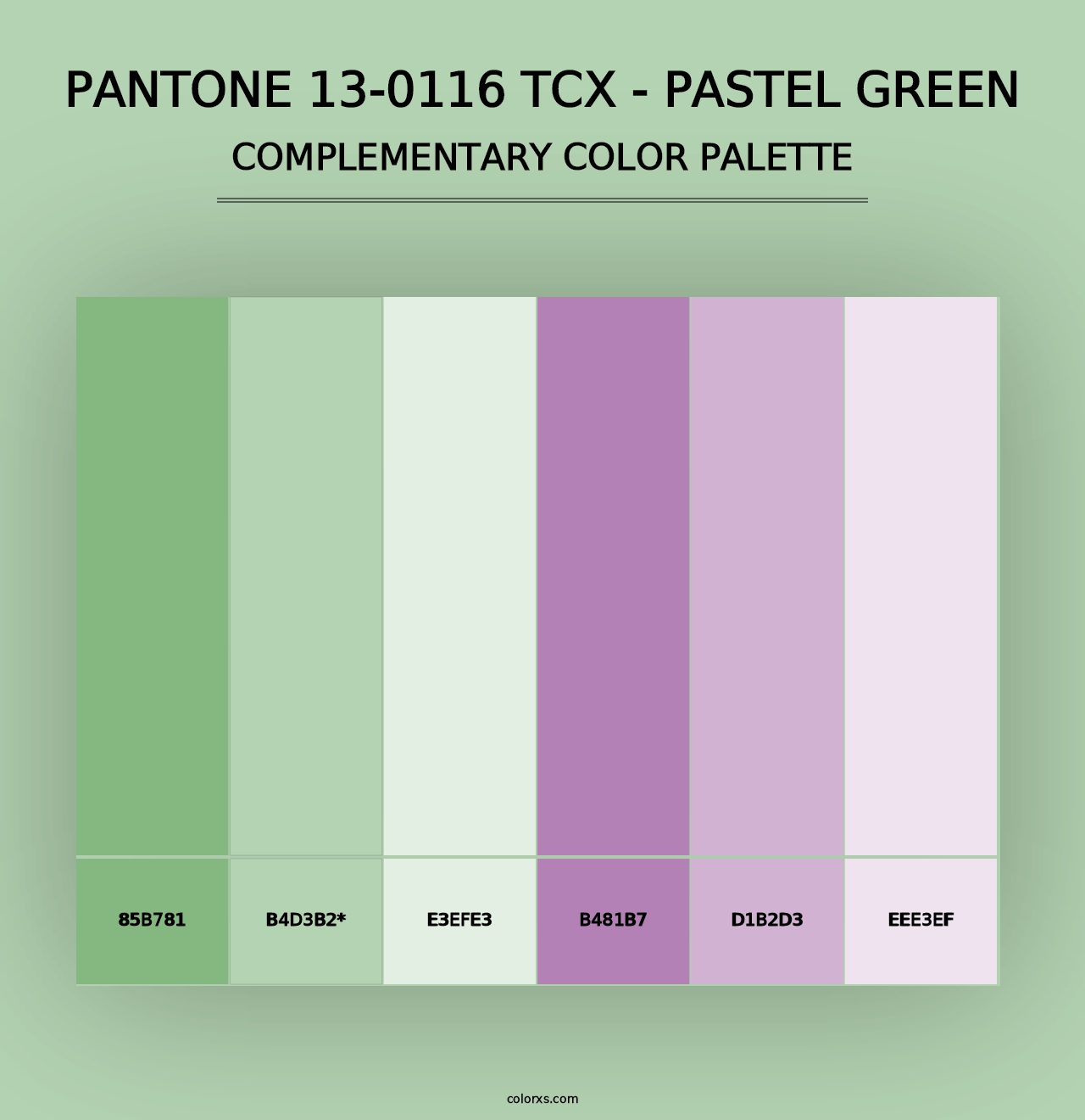 PANTONE 13-0116 TCX - Pastel Green - Complementary Color Palette