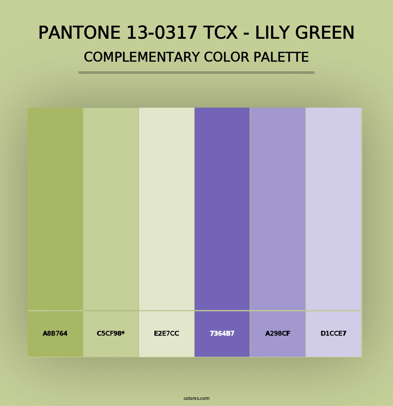 PANTONE 13-0317 TCX - Lily Green - Complementary Color Palette