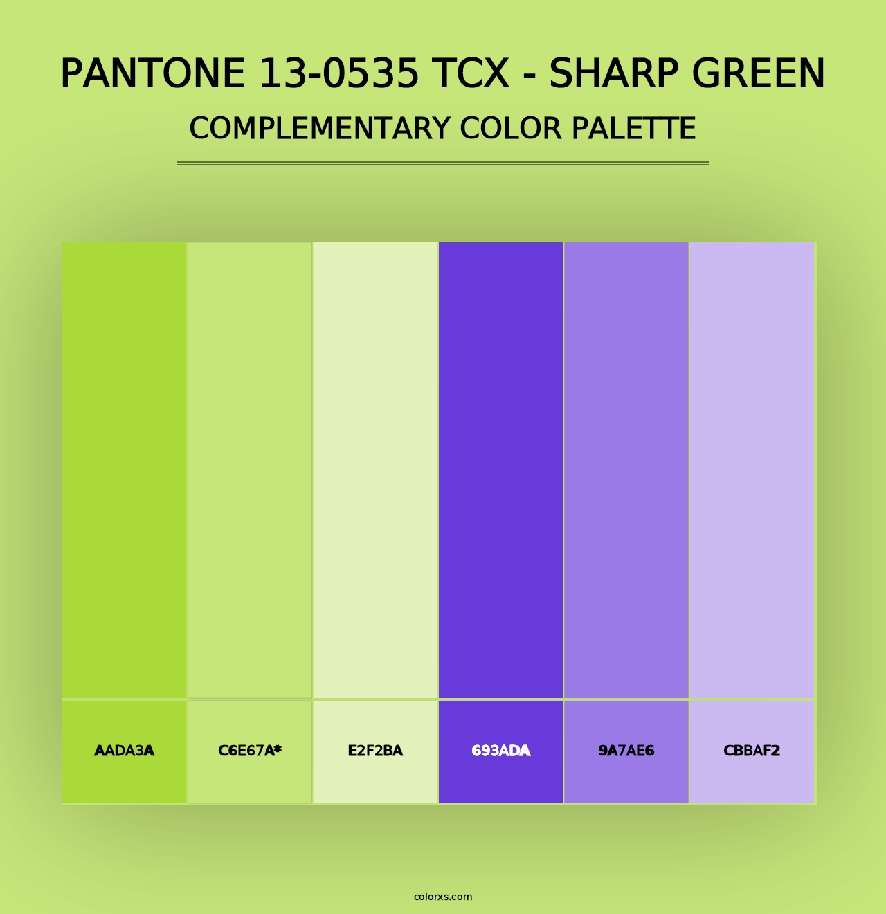 PANTONE 13-0535 TCX - Sharp Green - Complementary Color Palette