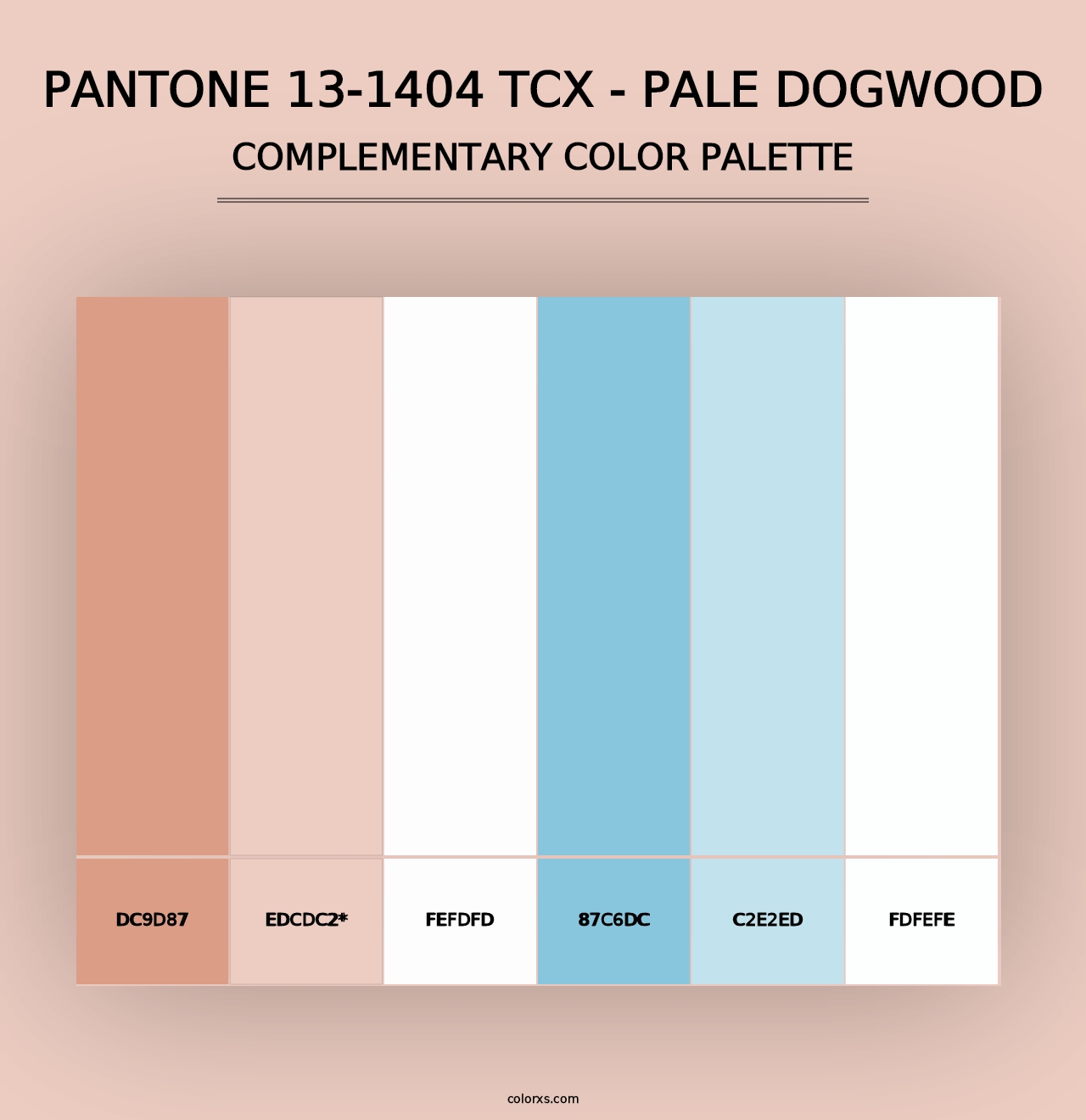 PANTONE 13-1404 TCX - Pale Dogwood - Complementary Color Palette