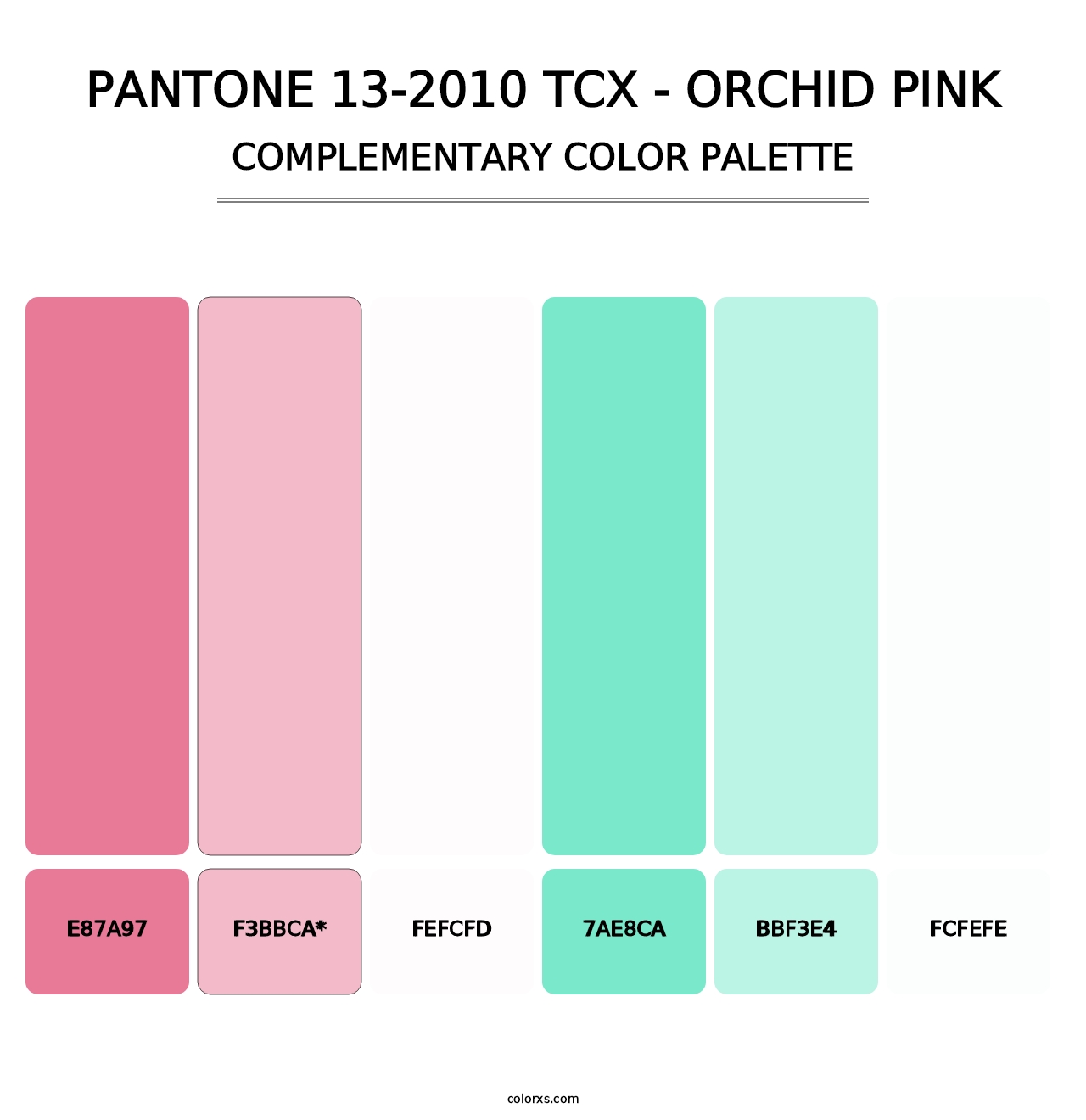 PANTONE 13-2010 TCX - Orchid Pink - Complementary Color Palette