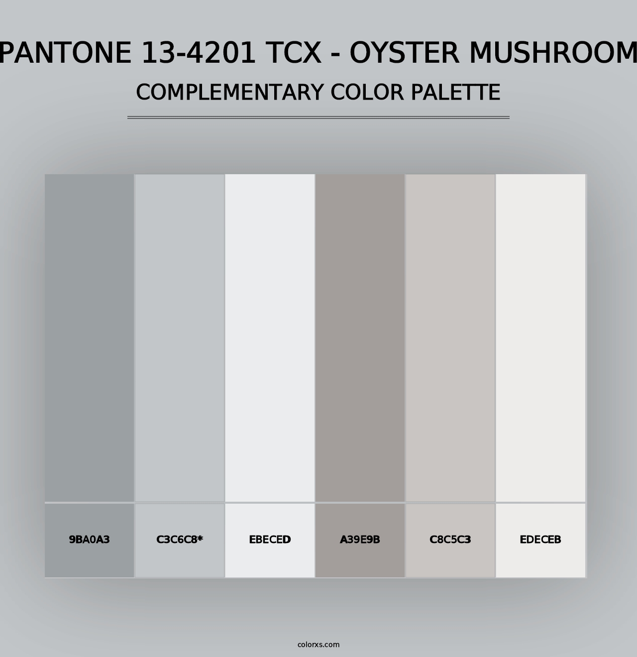 PANTONE 13-4201 TCX - Oyster Mushroom - Complementary Color Palette