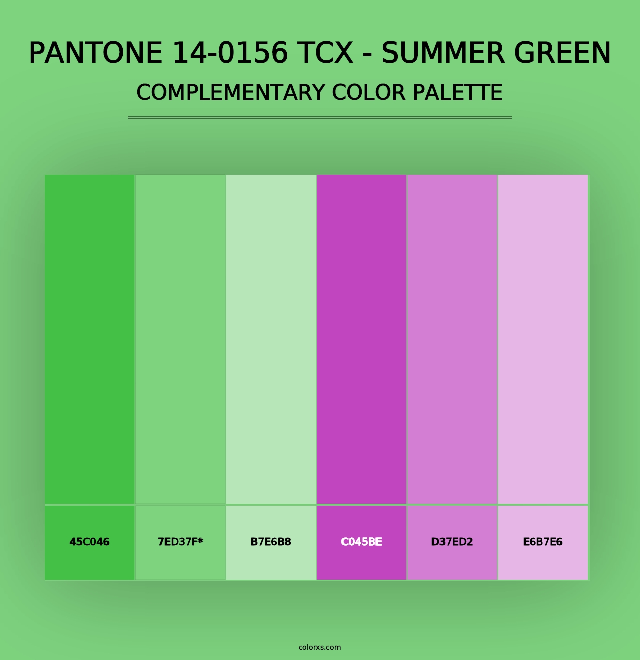 PANTONE 14-0156 TCX - Summer Green - Complementary Color Palette