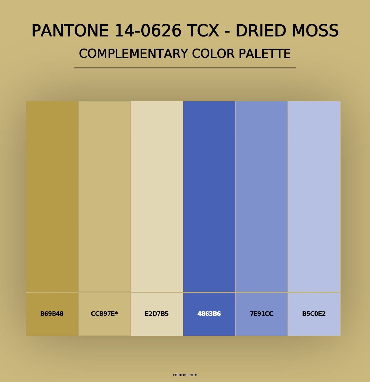 PANTONE 14-0626 TCX - Dried Moss - Complementary Color Palette