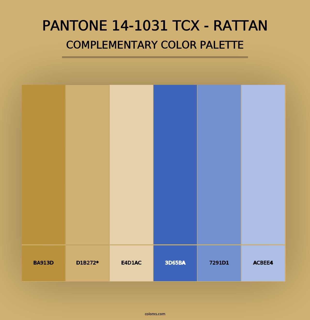 PANTONE 14-1031 TCX - Rattan - Complementary Color Palette