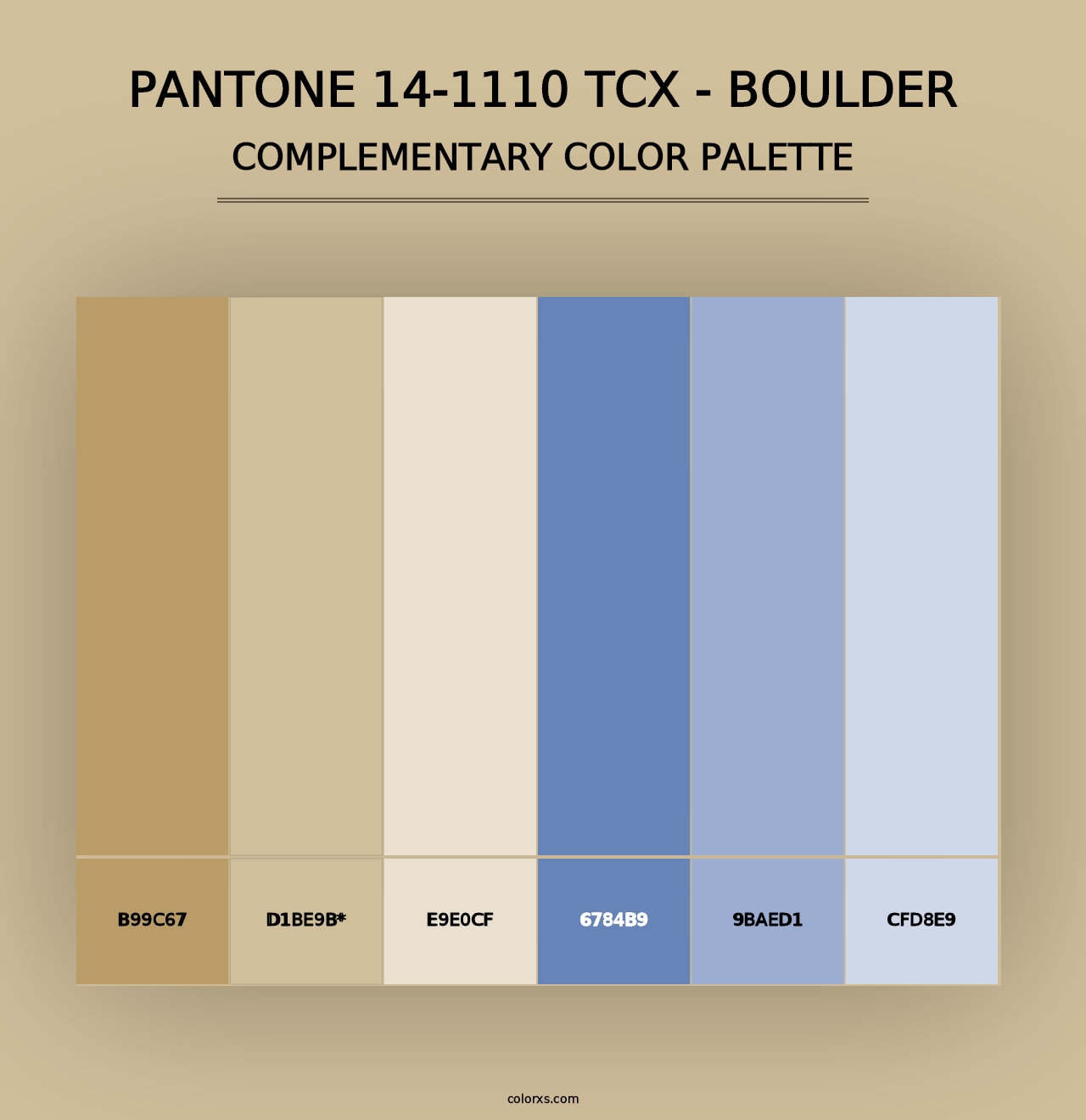 PANTONE 14-1110 TCX - Boulder - Complementary Color Palette