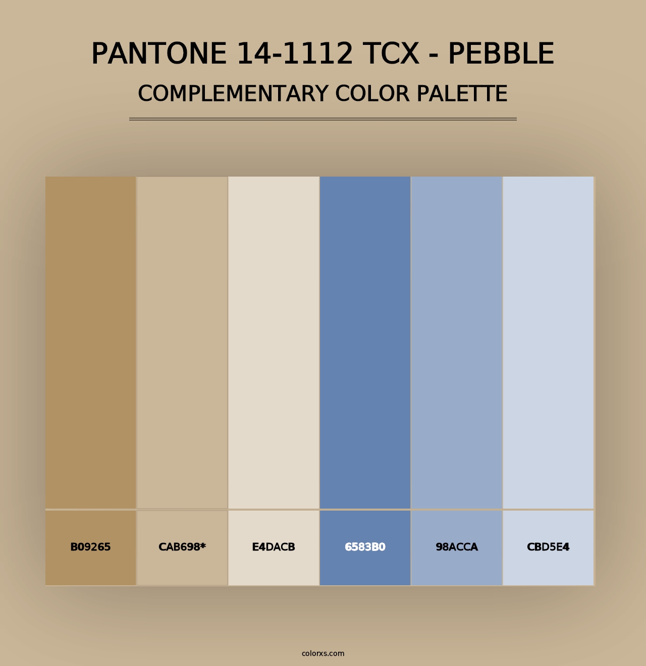 PANTONE 14-1112 TCX - Pebble - Complementary Color Palette