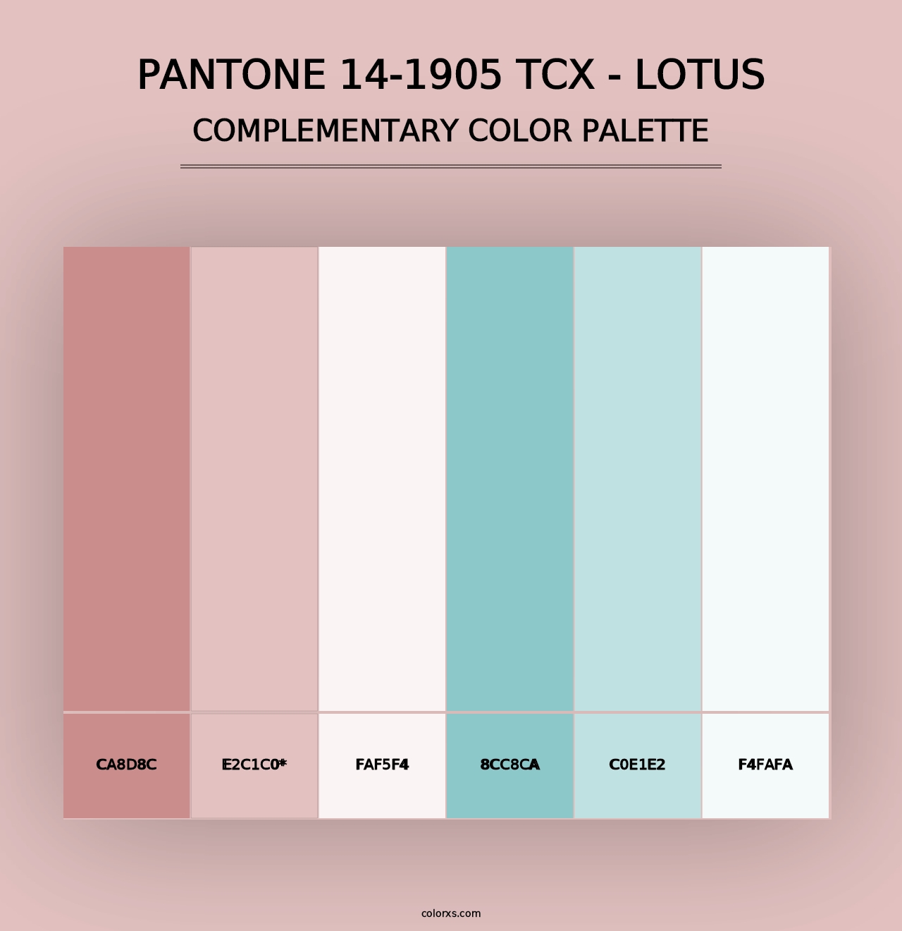 PANTONE 14-1905 TCX - Lotus - Complementary Color Palette