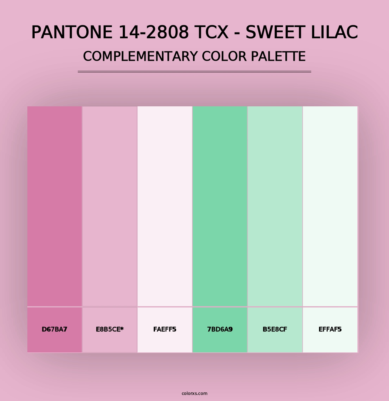 PANTONE 14-2808 TCX - Sweet Lilac - Complementary Color Palette