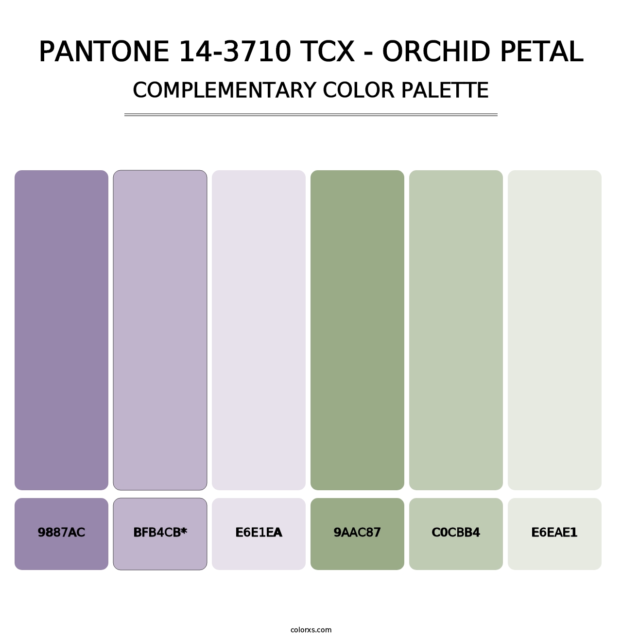 PANTONE 14-3710 TCX - Orchid Petal - Complementary Color Palette