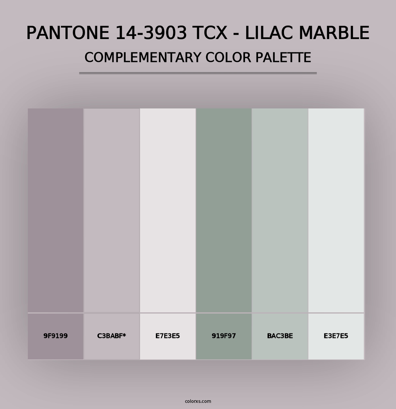 PANTONE 14-3903 TCX - Lilac Marble - Complementary Color Palette