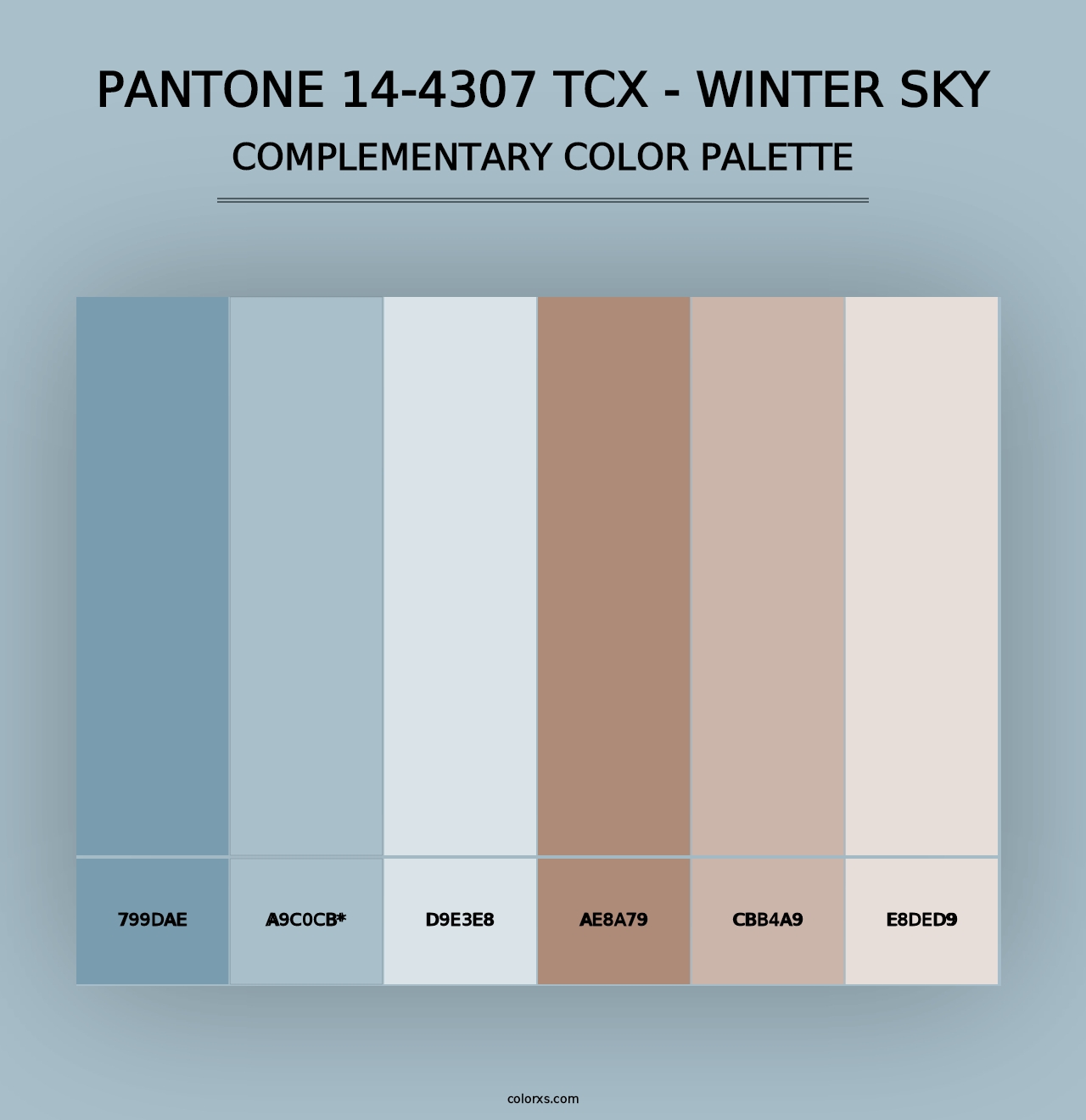 PANTONE 14-4307 TCX - Winter Sky - Complementary Color Palette