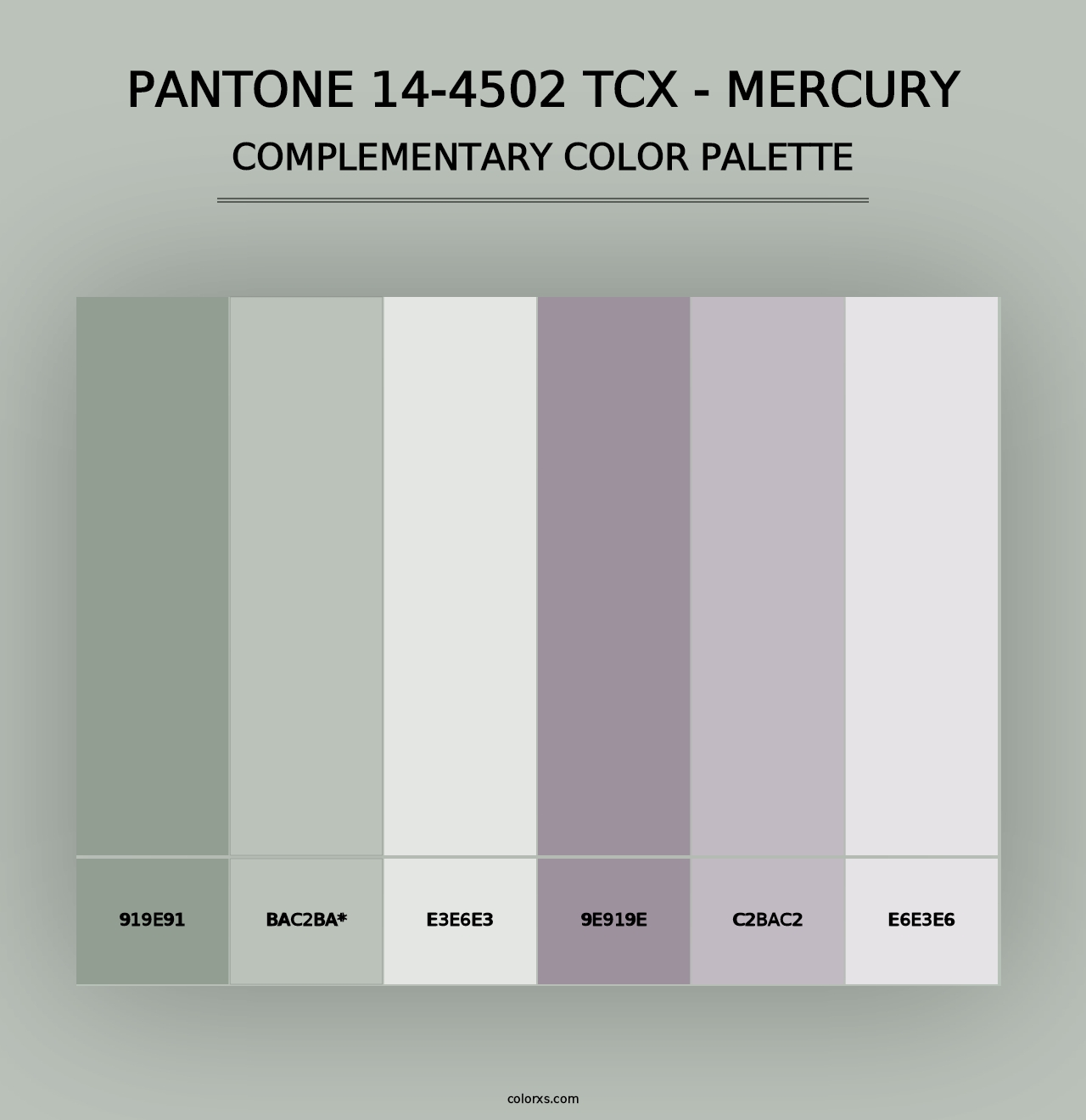 PANTONE 14-4502 TCX - Mercury - Complementary Color Palette