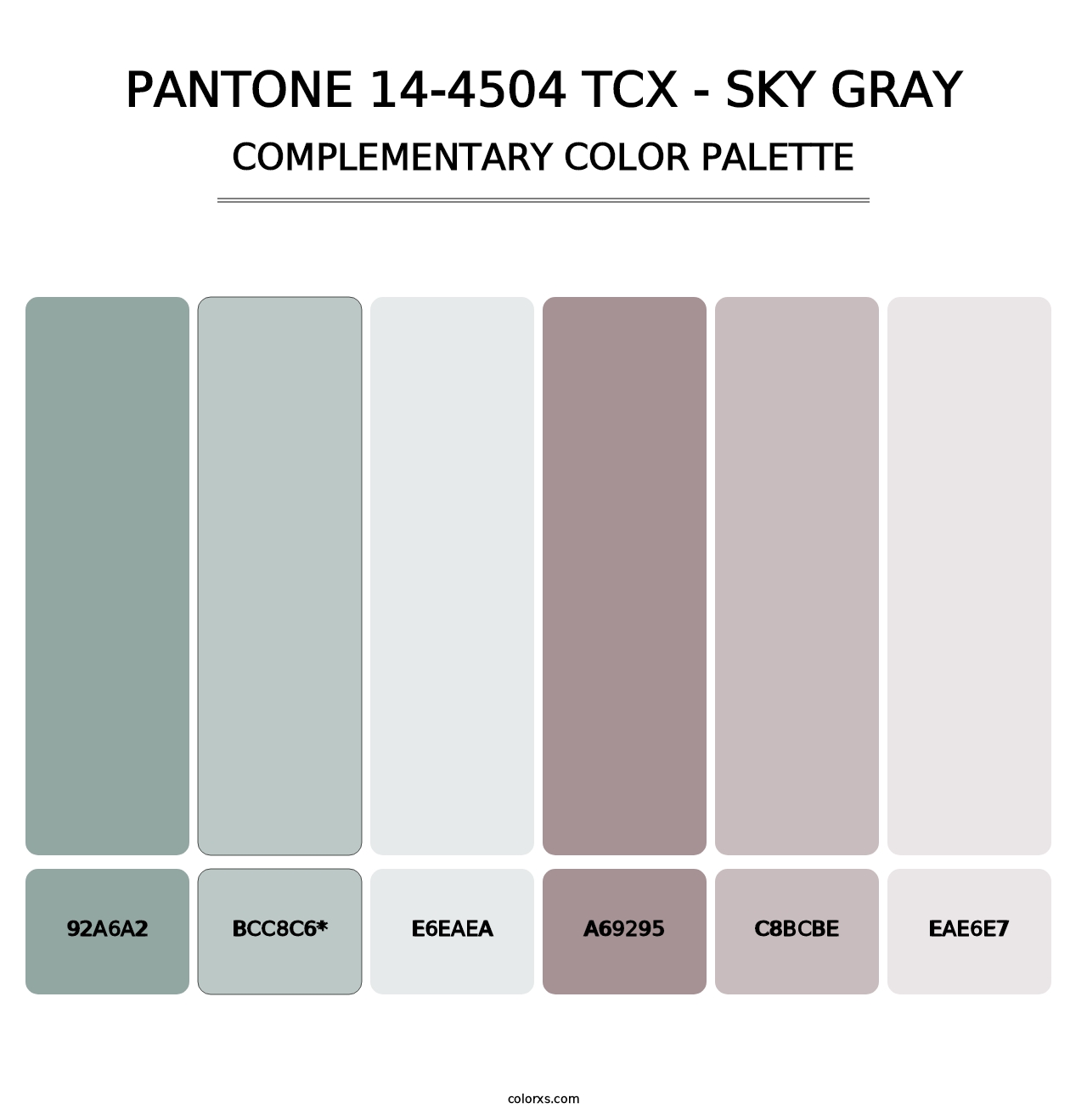 PANTONE 14-4504 TCX - Sky Gray - Complementary Color Palette