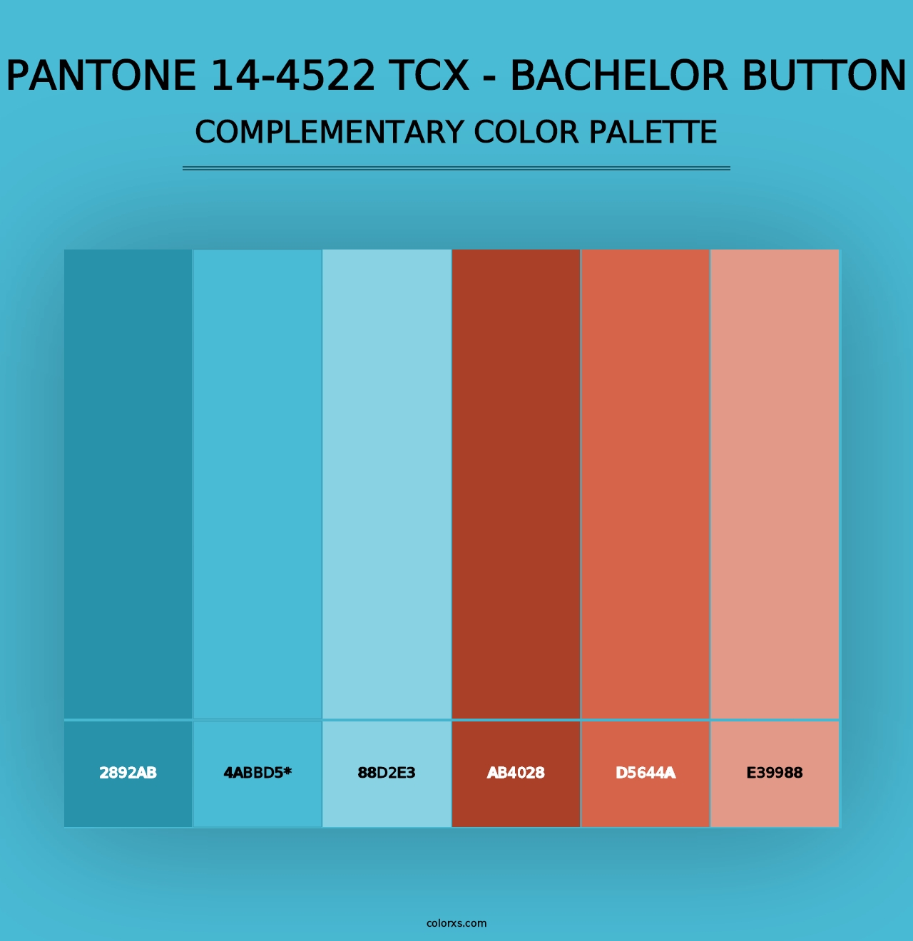 PANTONE 14-4522 TCX - Bachelor Button - Complementary Color Palette