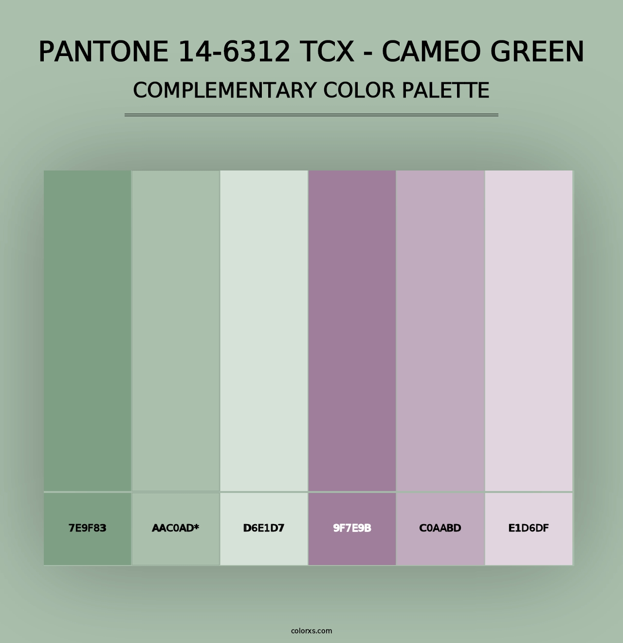 PANTONE 14-6312 TCX - Cameo Green - Complementary Color Palette