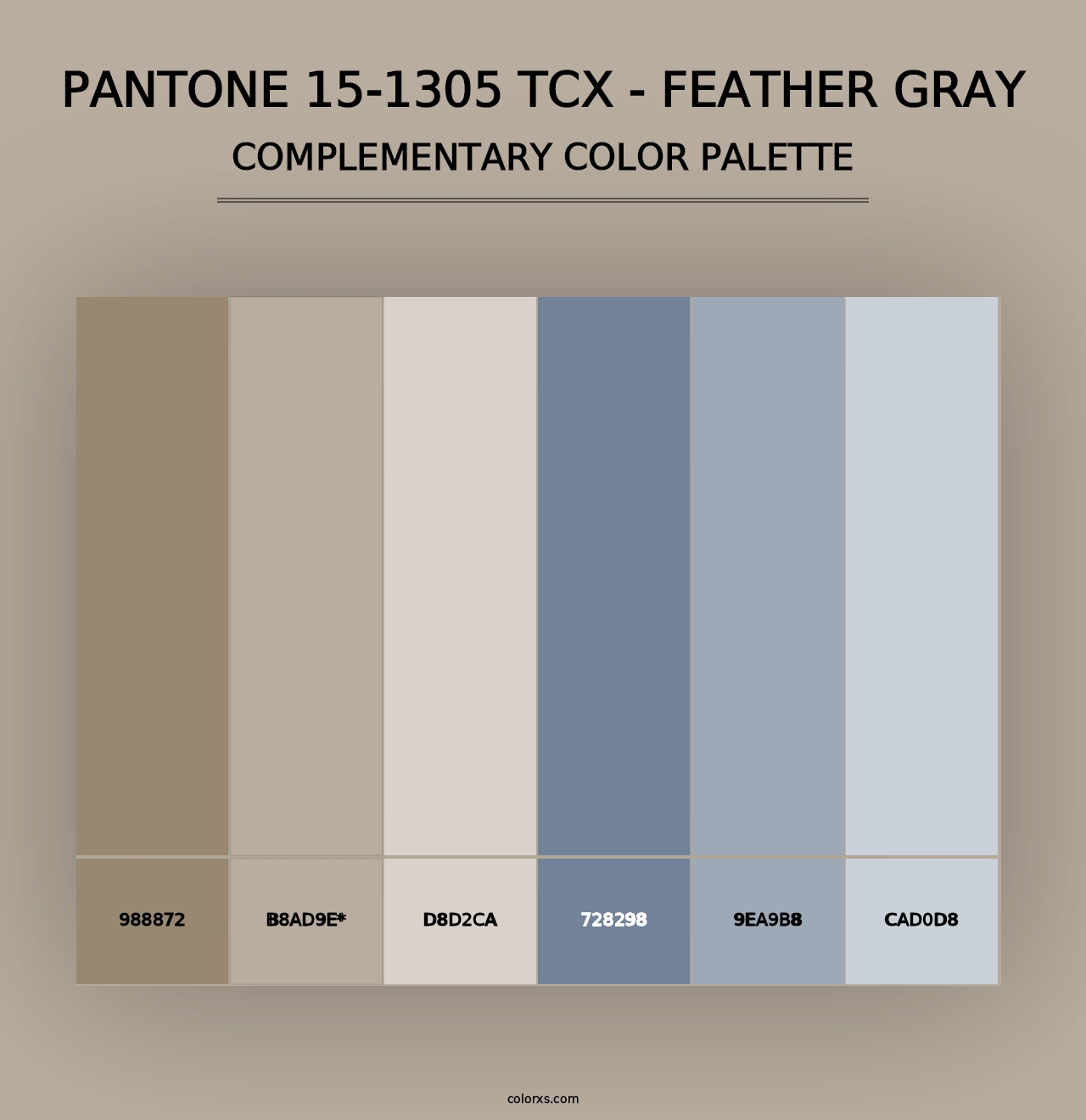 PANTONE 15-1305 TCX - Feather Gray - Complementary Color Palette