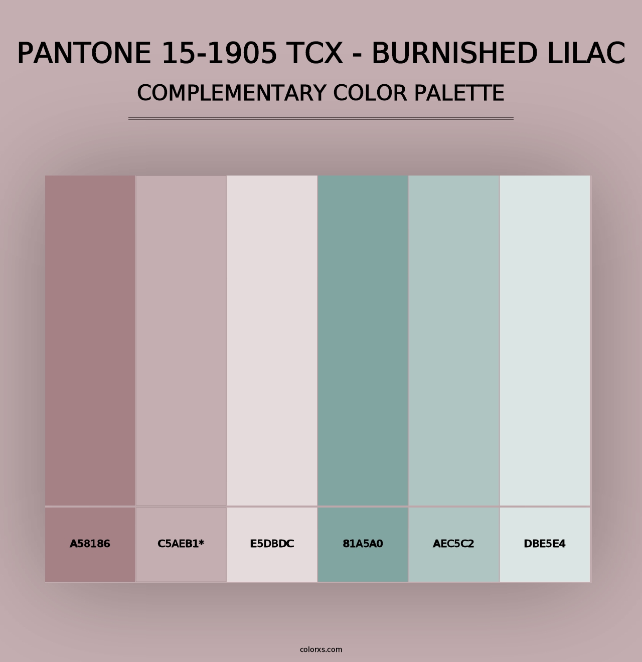 PANTONE 15-1905 TCX - Burnished Lilac - Complementary Color Palette