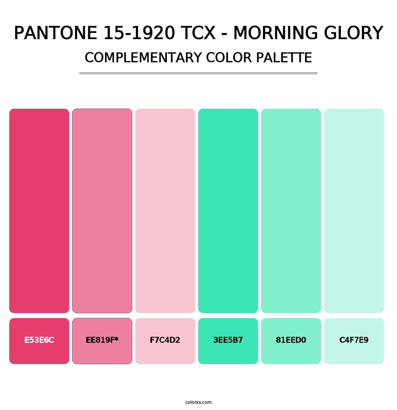 PANTONE 15-1920 TCX - Morning Glory - Complementary Color Palette