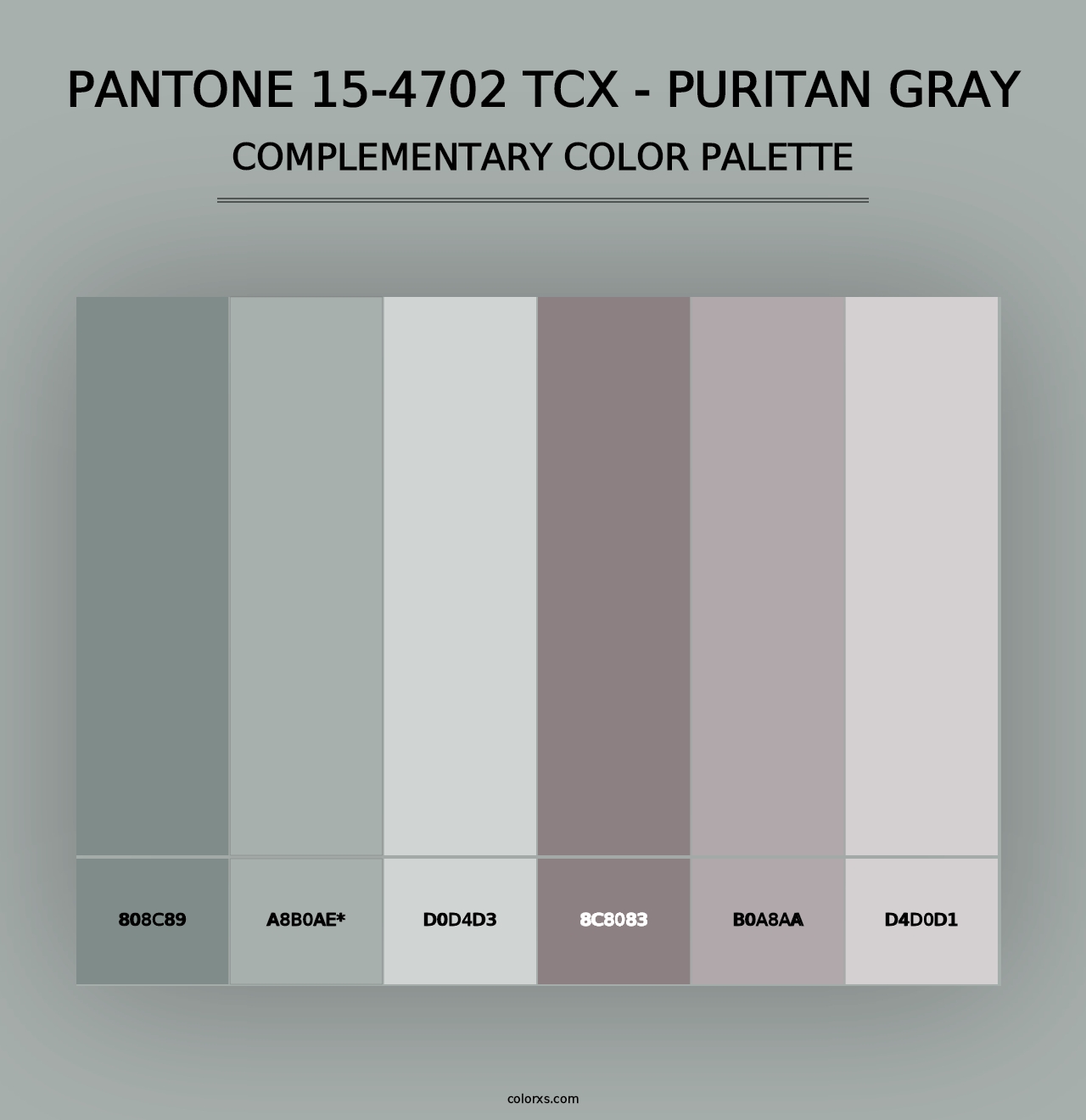 PANTONE 15-4702 TCX - Puritan Gray - Complementary Color Palette