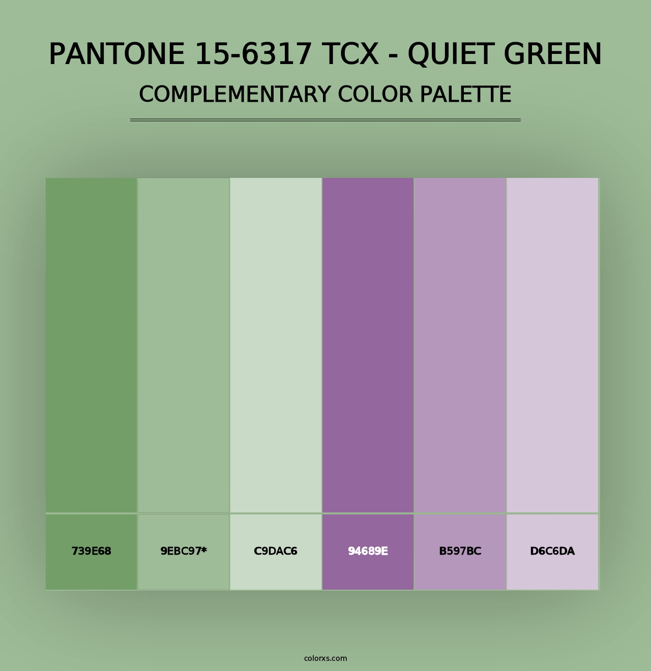 PANTONE 15-6317 TCX - Quiet Green - Complementary Color Palette