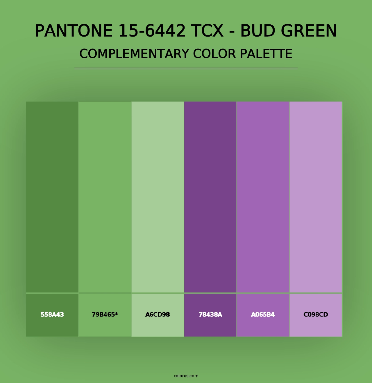 PANTONE 15-6442 TCX - Bud Green - Complementary Color Palette