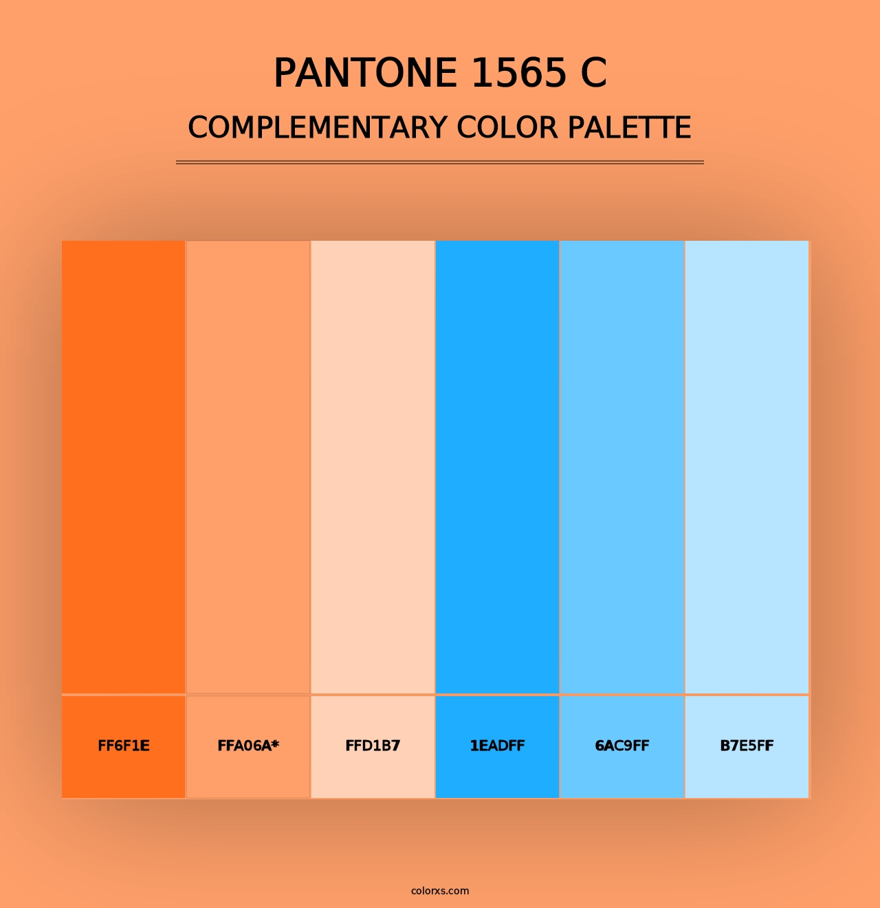 PANTONE 1565 C - Complementary Color Palette