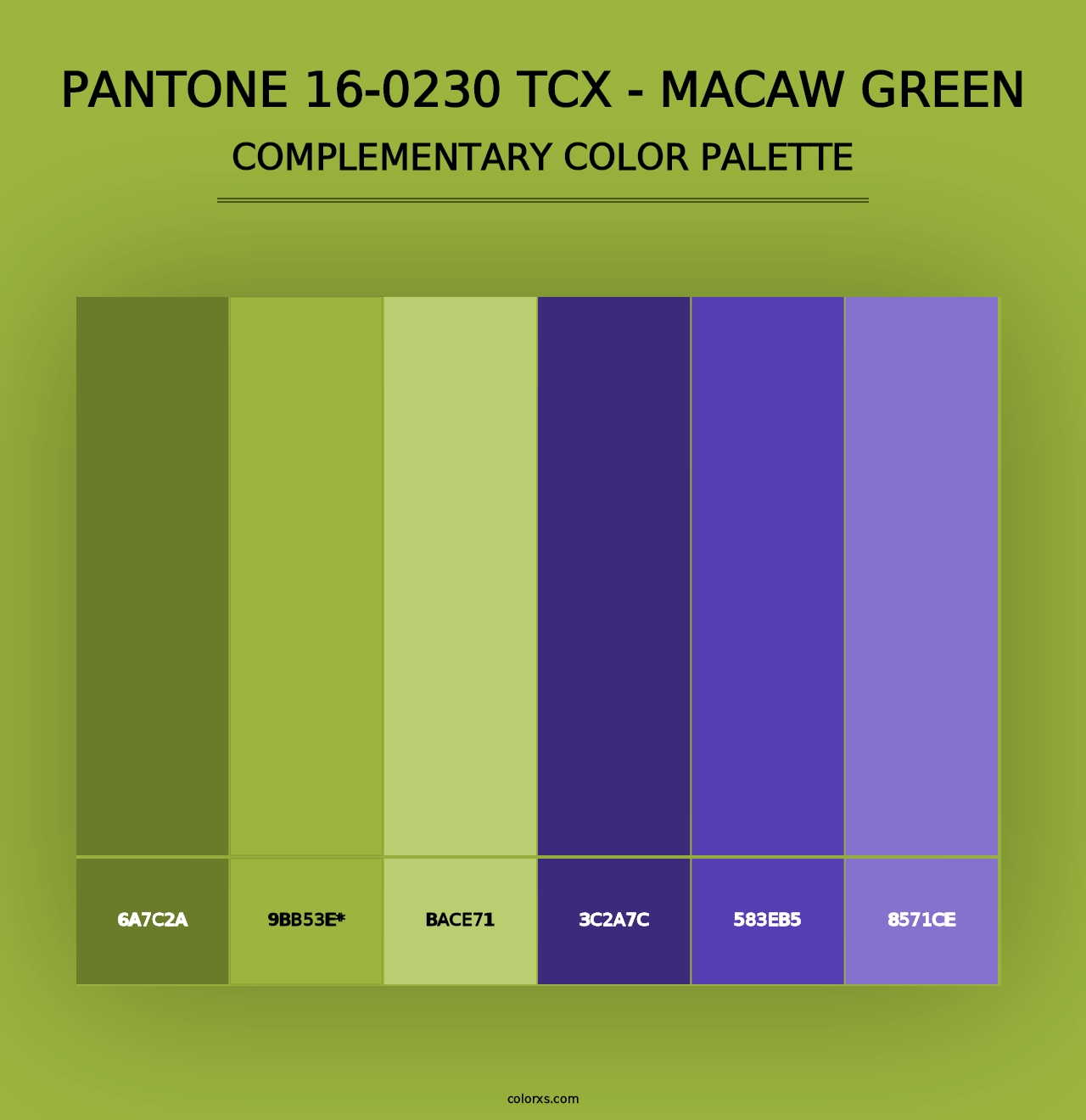 PANTONE 16-0230 TCX - Macaw Green - Complementary Color Palette