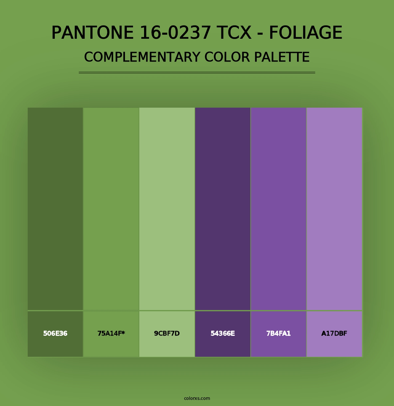 PANTONE 16-0237 TCX - Foliage - Complementary Color Palette