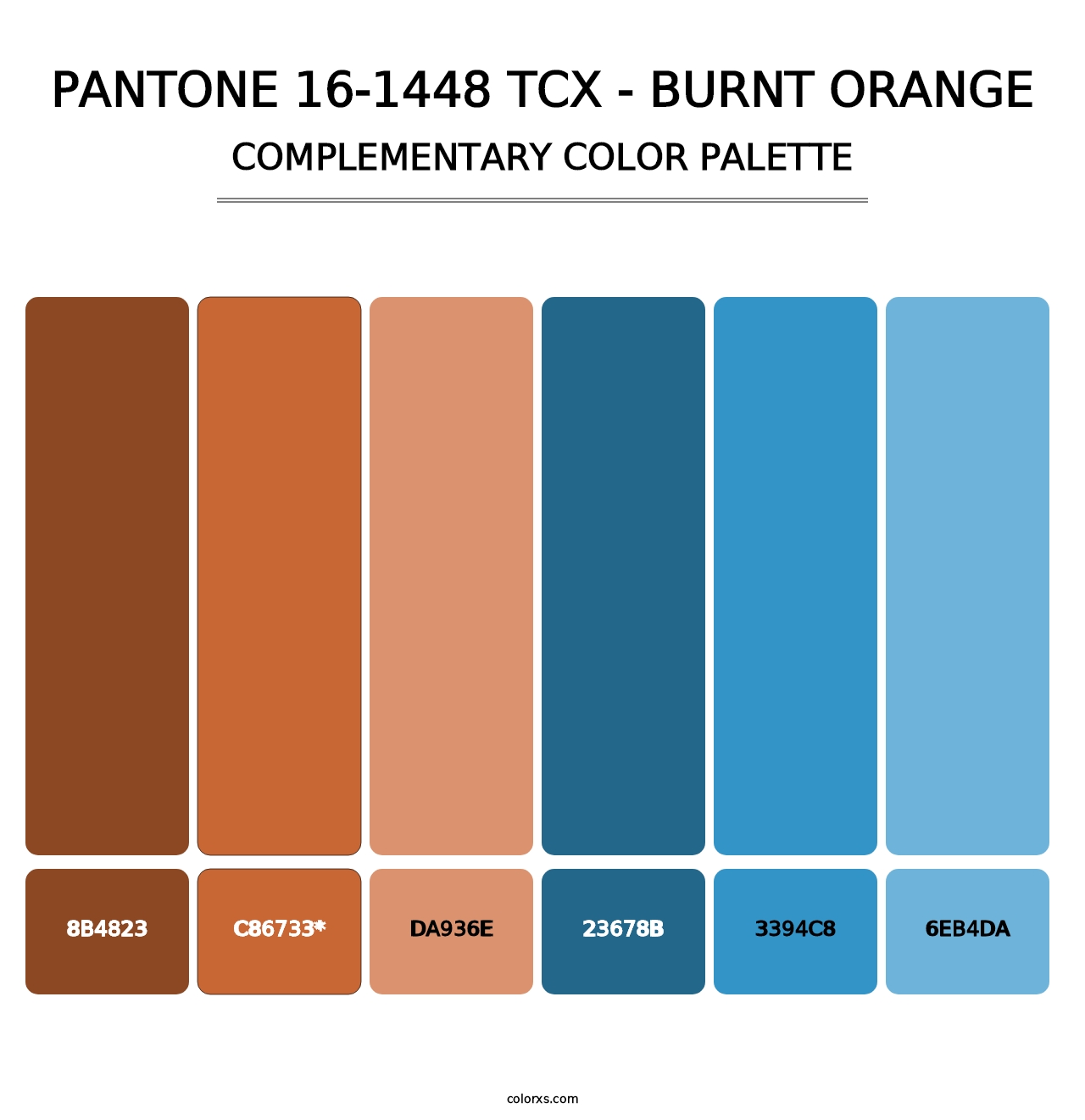 PANTONE 16-1448 TCX - Burnt Orange - Complementary Color Palette