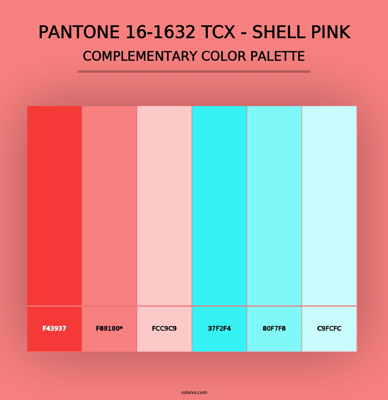 PANTONE 16-1632 TCX - Shell Pink - Complementary Color Palette