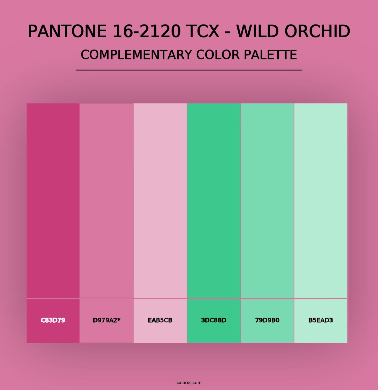 PANTONE 16-2120 TCX - Wild Orchid - Complementary Color Palette