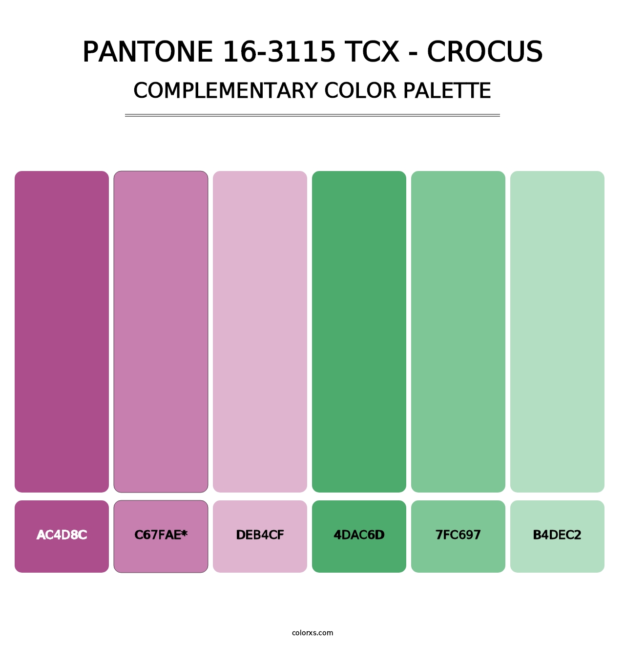 PANTONE 16-3115 TCX - Crocus - Complementary Color Palette