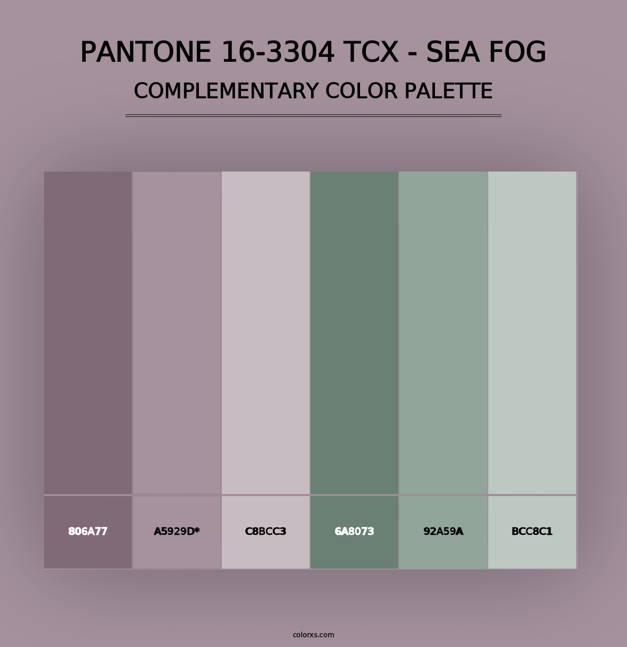 PANTONE 16-3304 TCX - Sea Fog - Complementary Color Palette