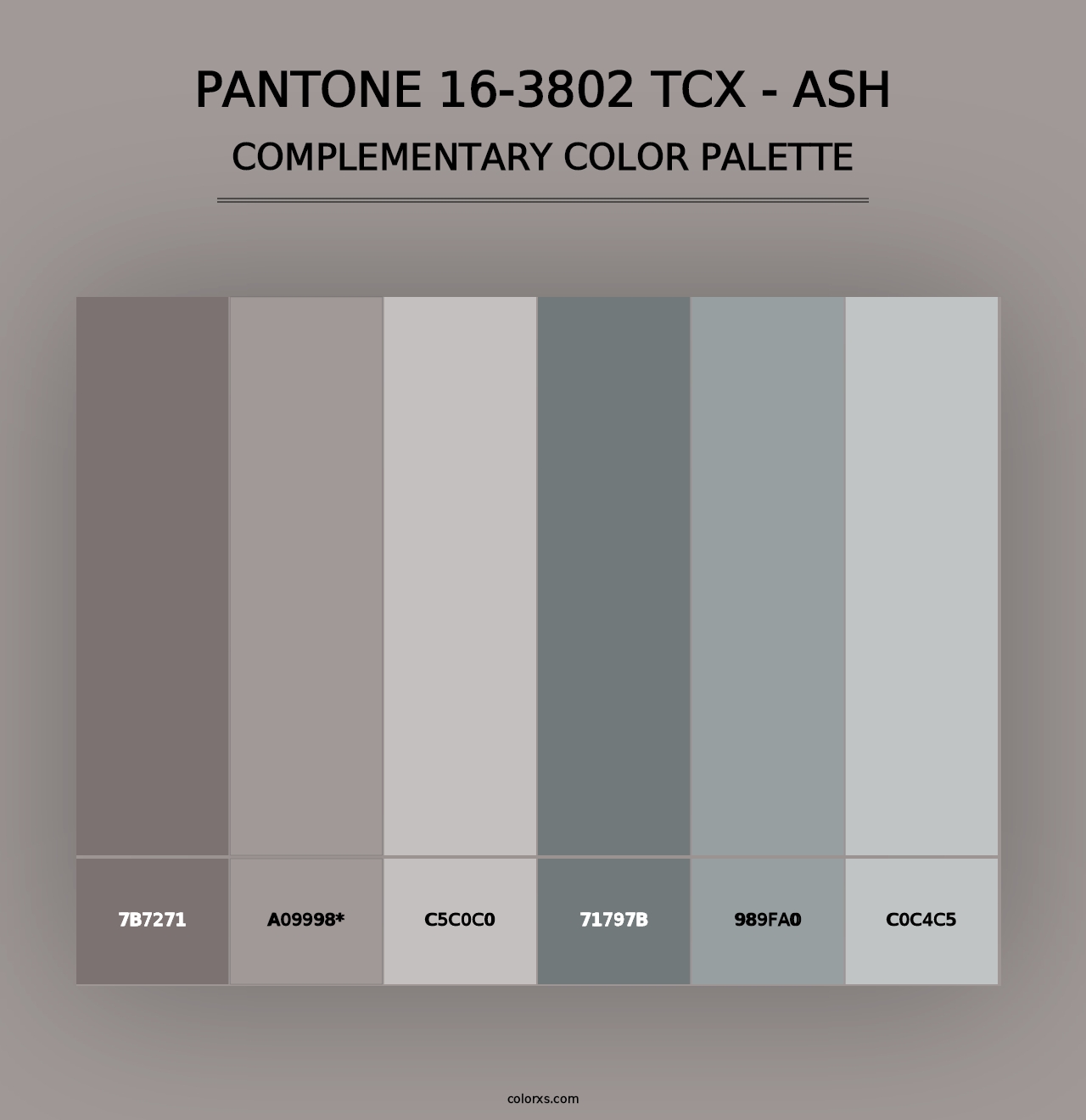 PANTONE 16-3802 TCX - Ash - Complementary Color Palette