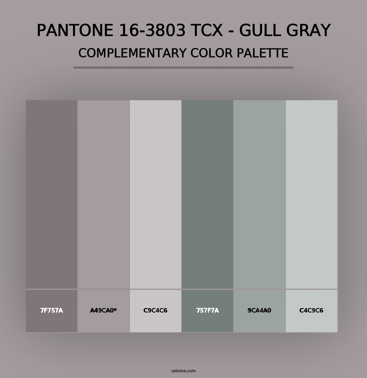 PANTONE 16-3803 TCX - Gull Gray - Complementary Color Palette