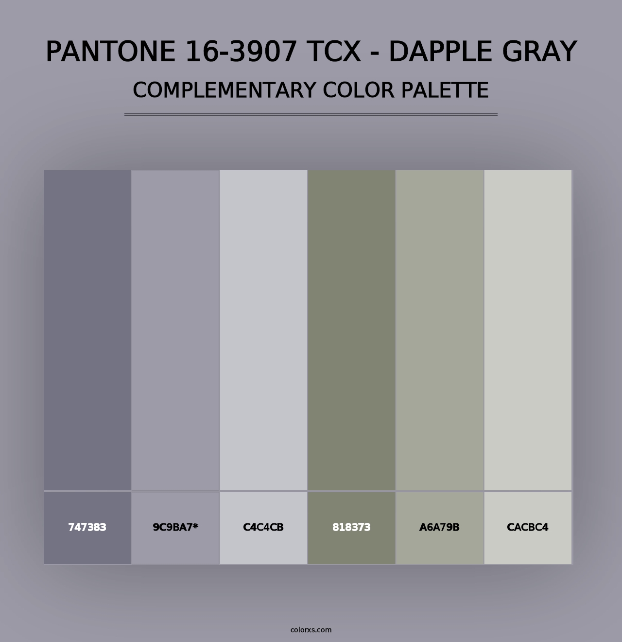 PANTONE 16-3907 TCX - Dapple Gray - Complementary Color Palette