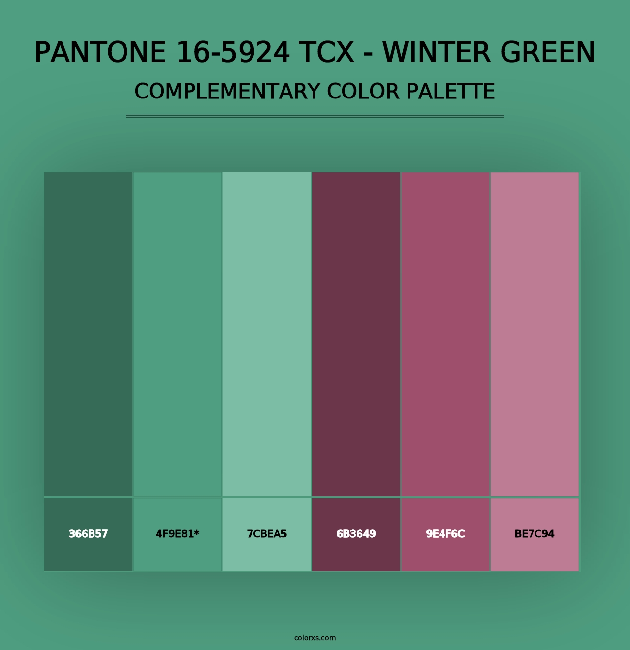 PANTONE 16-5924 TCX - Winter Green - Complementary Color Palette