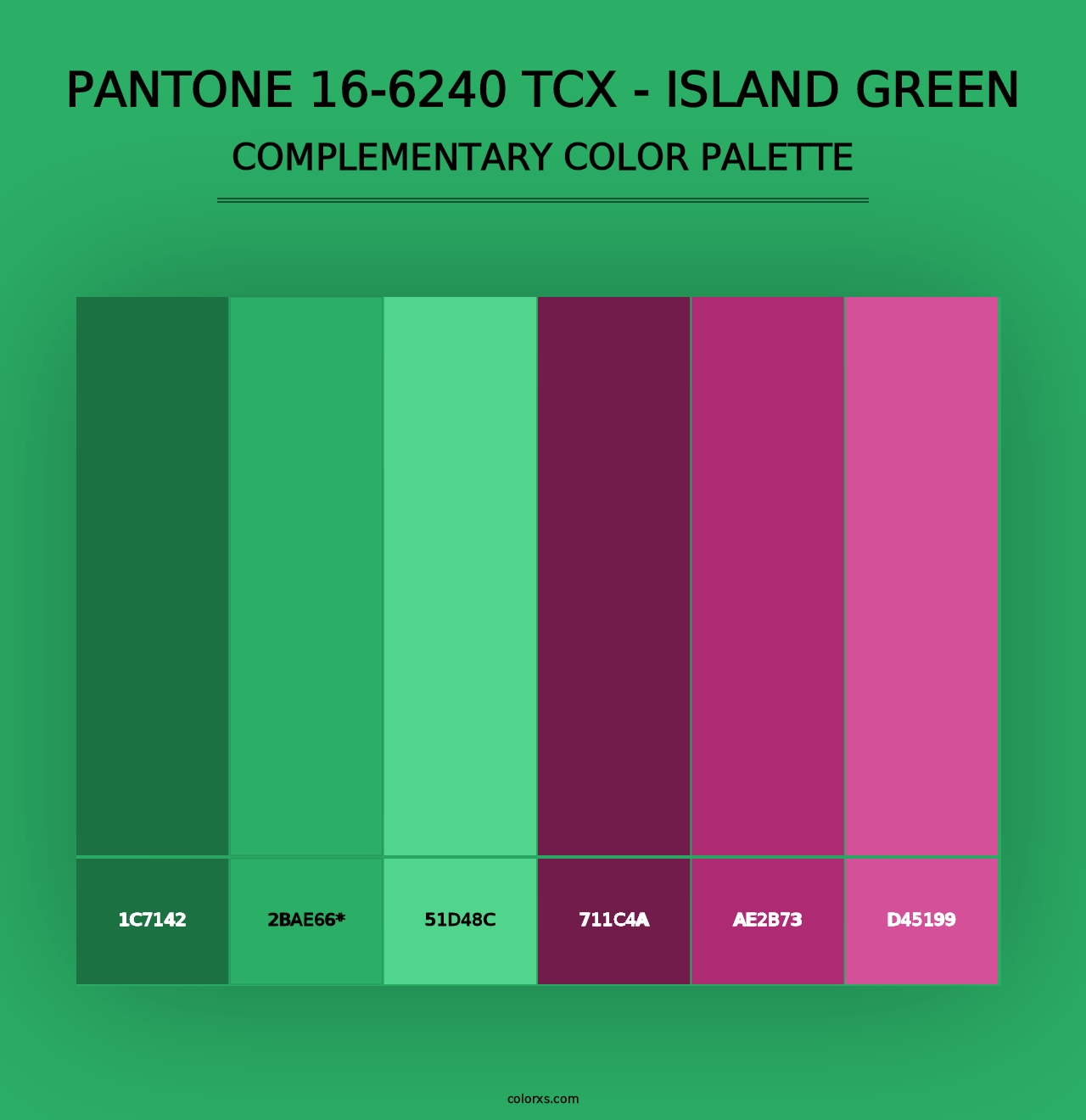 PANTONE 16-6240 TCX - Island Green - Complementary Color Palette